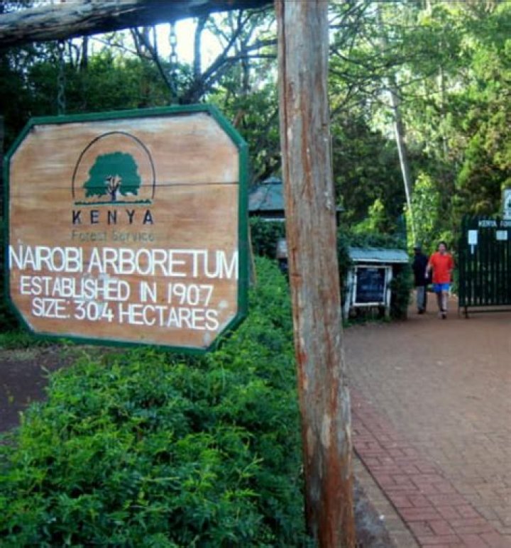 Nairobi Arboretum Forest Opening Hours, Entry Fees, and Fun Stuff