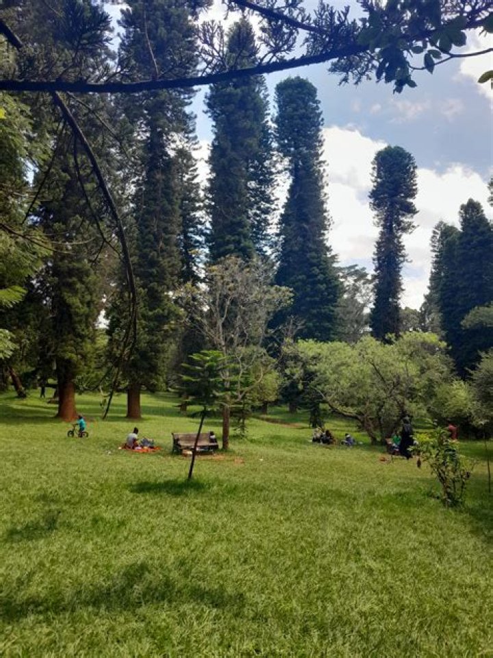 Nairobi Arboretum
