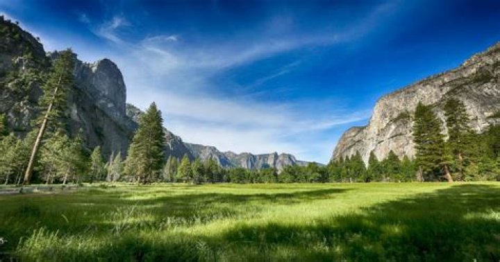 Natural Beauty, Gscseven