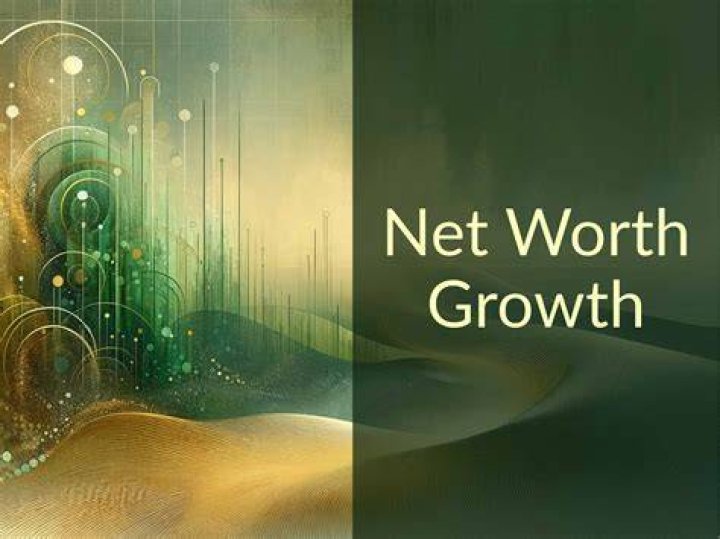 Net Worth Growth, Webshubz