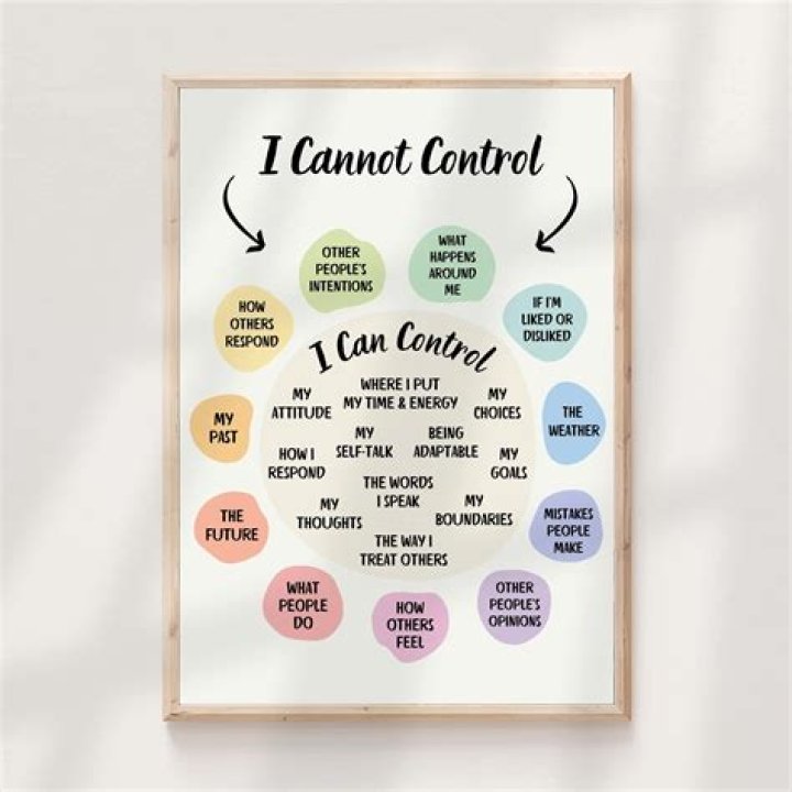 Never stress over what you can't control Picture Quotes