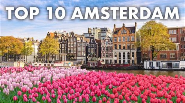 New Amsterdam The Top 10 Sharpwin Moments (So Far) TV Guide
