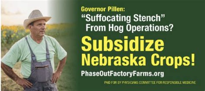 New governor fires back at 'cheap stunts' attacking his hog farms