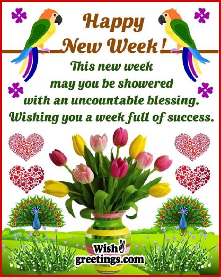 New Week Pictures and Graphics Page 2