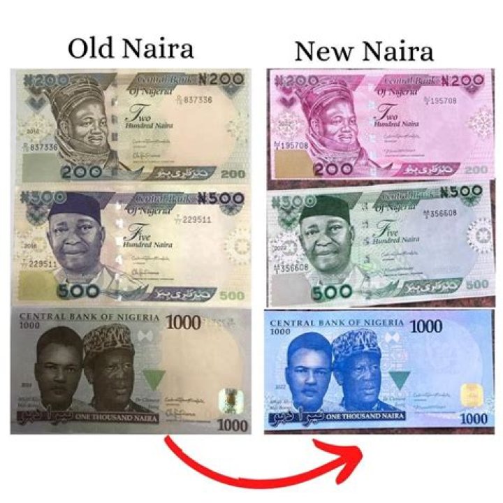 Nigeria 2019 Notes From the Field, By Reuben Abati Premium Times Opinion