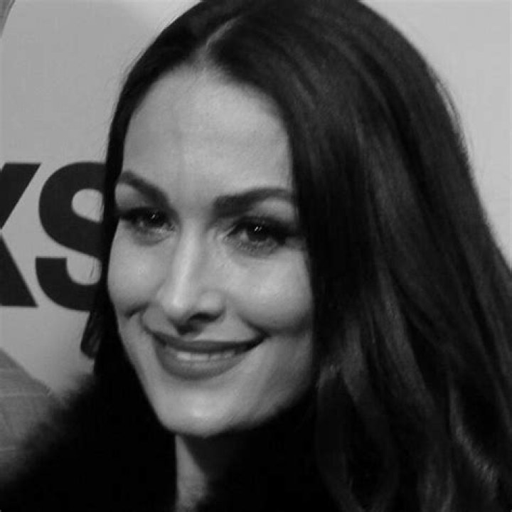 Nikki Bella Net Worth How the 'Total Bellas' Star Makes Money