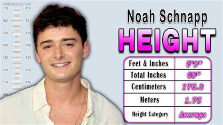 Noah Schnapp Height Celebheights
