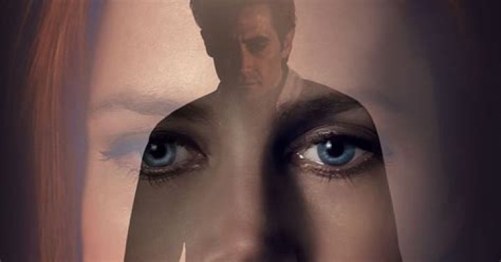 Nocturnal Animals Where to Watch & Stream Online