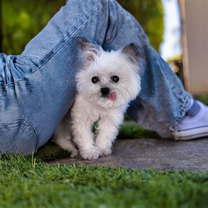 Norbert photo
