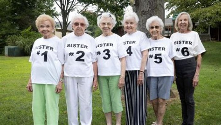 Number Of Siblings, Phillblog-gpt