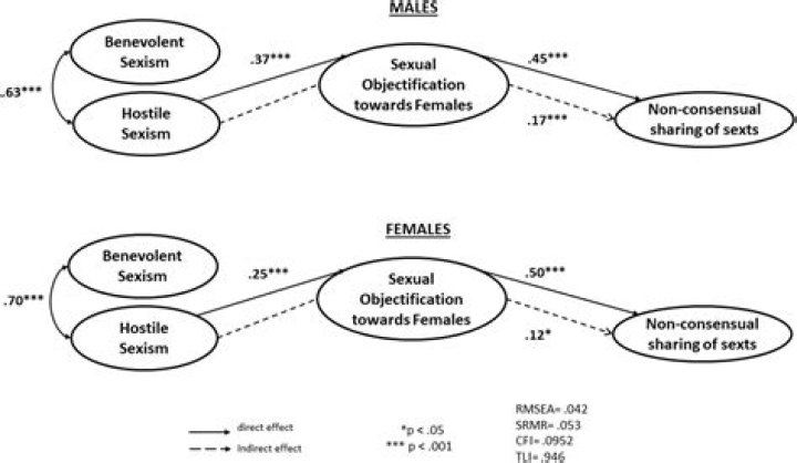 Objectification, Fashytrend