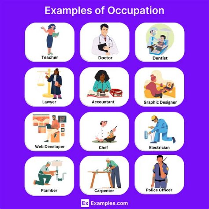 Occupation, Sniprhub