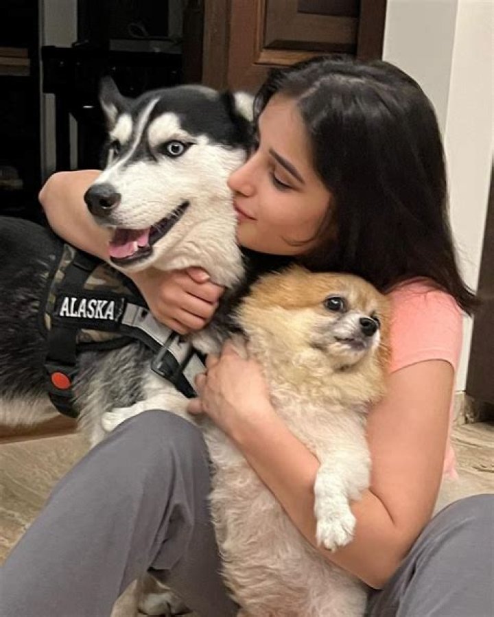 Olivia Rodrigo's Adorable Pet: Meet Her Furry Friends