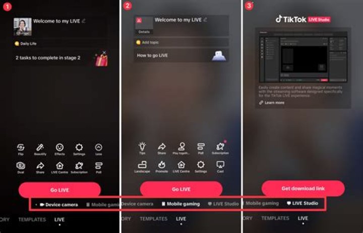 On TikTok, What does &ldquo;Friends Only&rdquo; Mean? The Hub