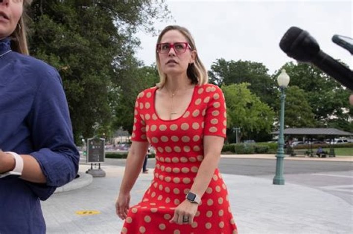 Opinion Kyrsten Sinema accidentally reveals the huge hole in her
