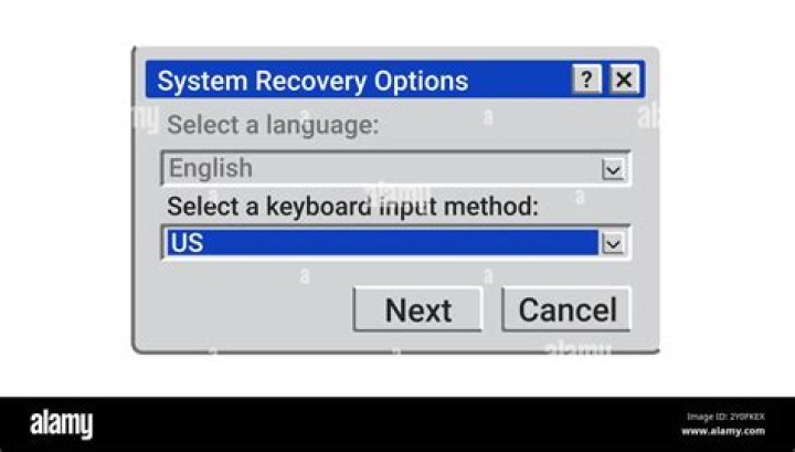 Options Window