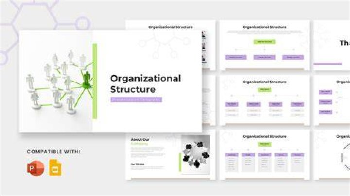 Organization, Webshubz