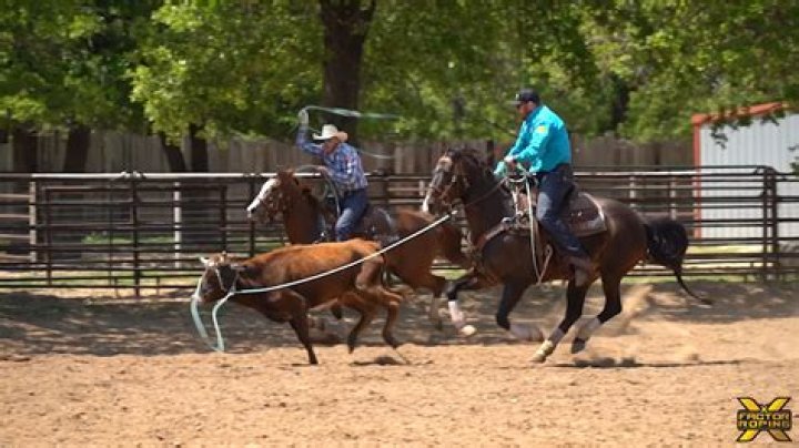 Paden Bray and Marty Becker Explain How The Dummy Prepares Them For