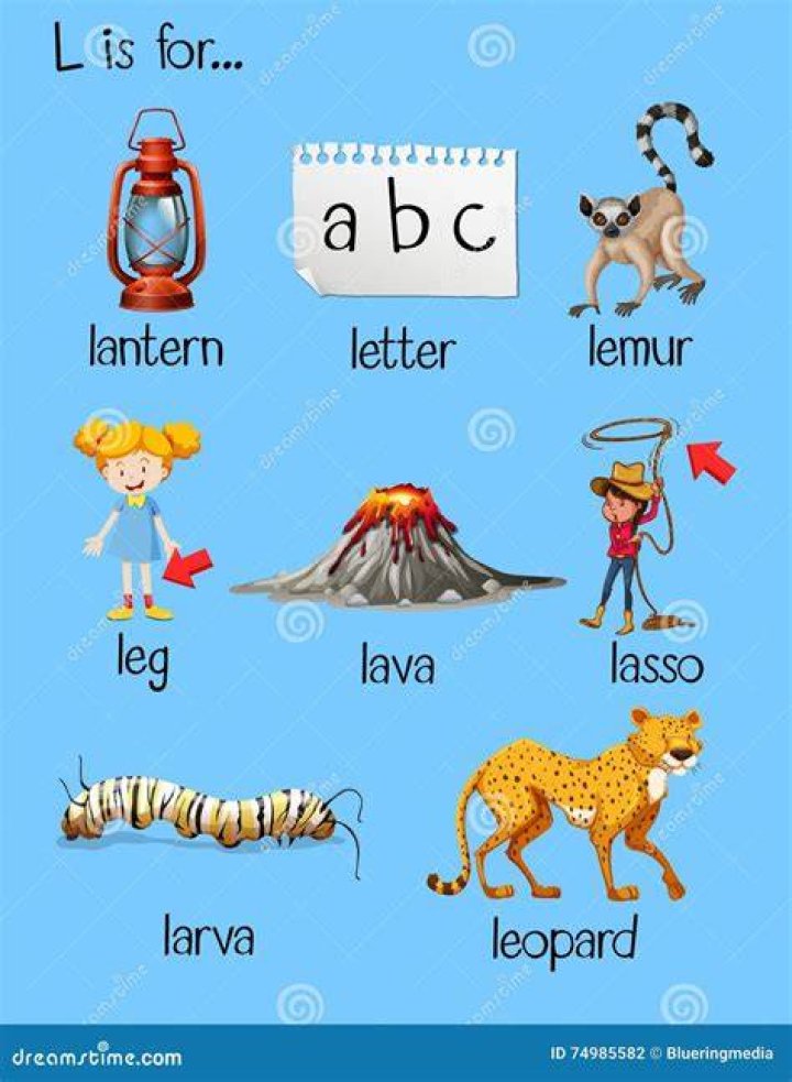 Palavra Em Ingles Com L EducaBrilha