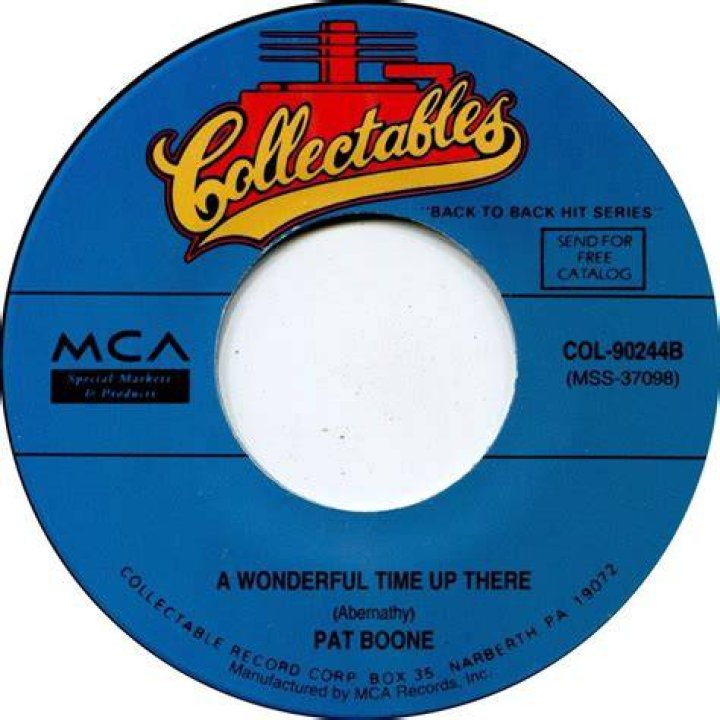 Pat Boone A Wonderful Time Up There / It's Too Soon To Know NIGHT