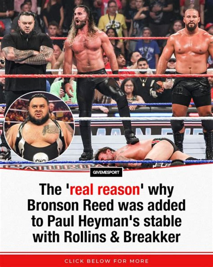 Paul Heyman Real Reason For WWE Hiatus Leaks
