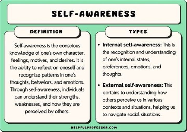 Perception And Self-awareness, Gscnine