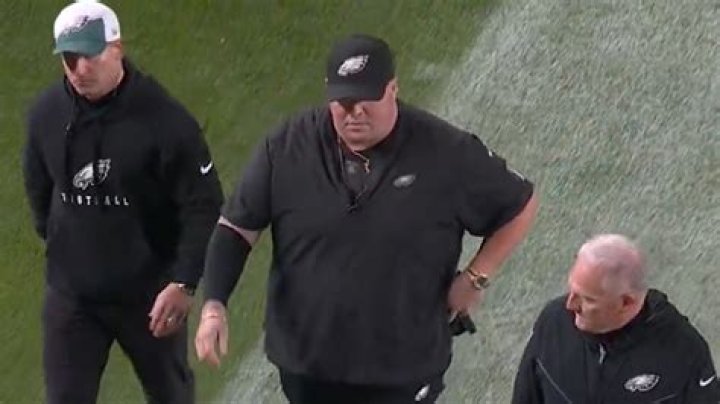 Philadelphia Eagles security guard 'Big Dom' ejected for bustup with