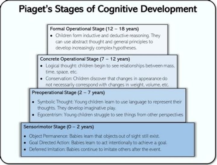 Physical And Cognitive Development, Gscnine