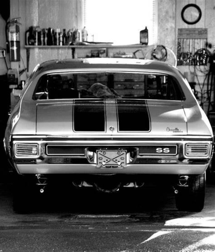 Pin by Che Torch on Barbara Roufs Drag racing cars, Race cars, Style