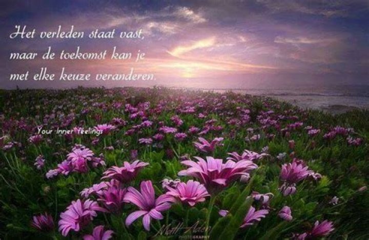 Pin by Henrietta Norris on Quotes and Sayings Morning blessings, Good