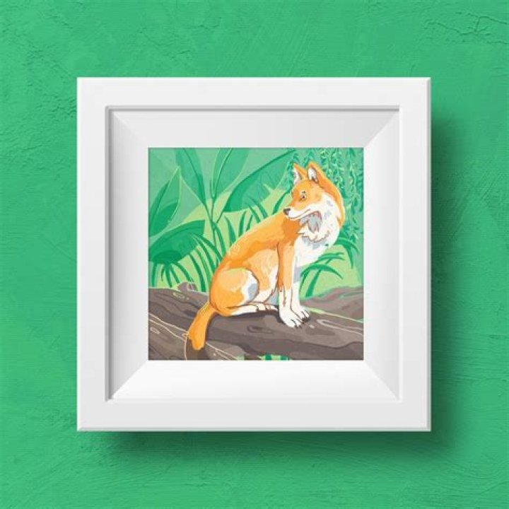 Pin on Animals