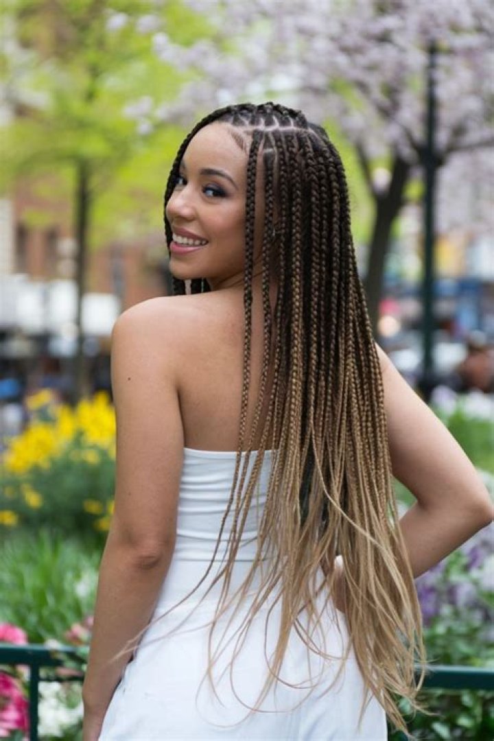Pin on Braided hairstyles for black women