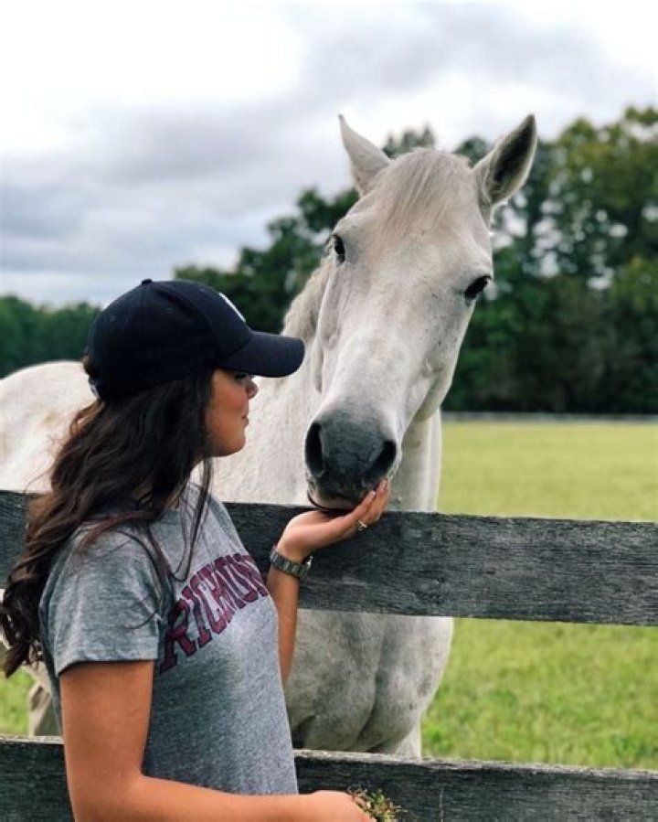 Pin on equestrian life