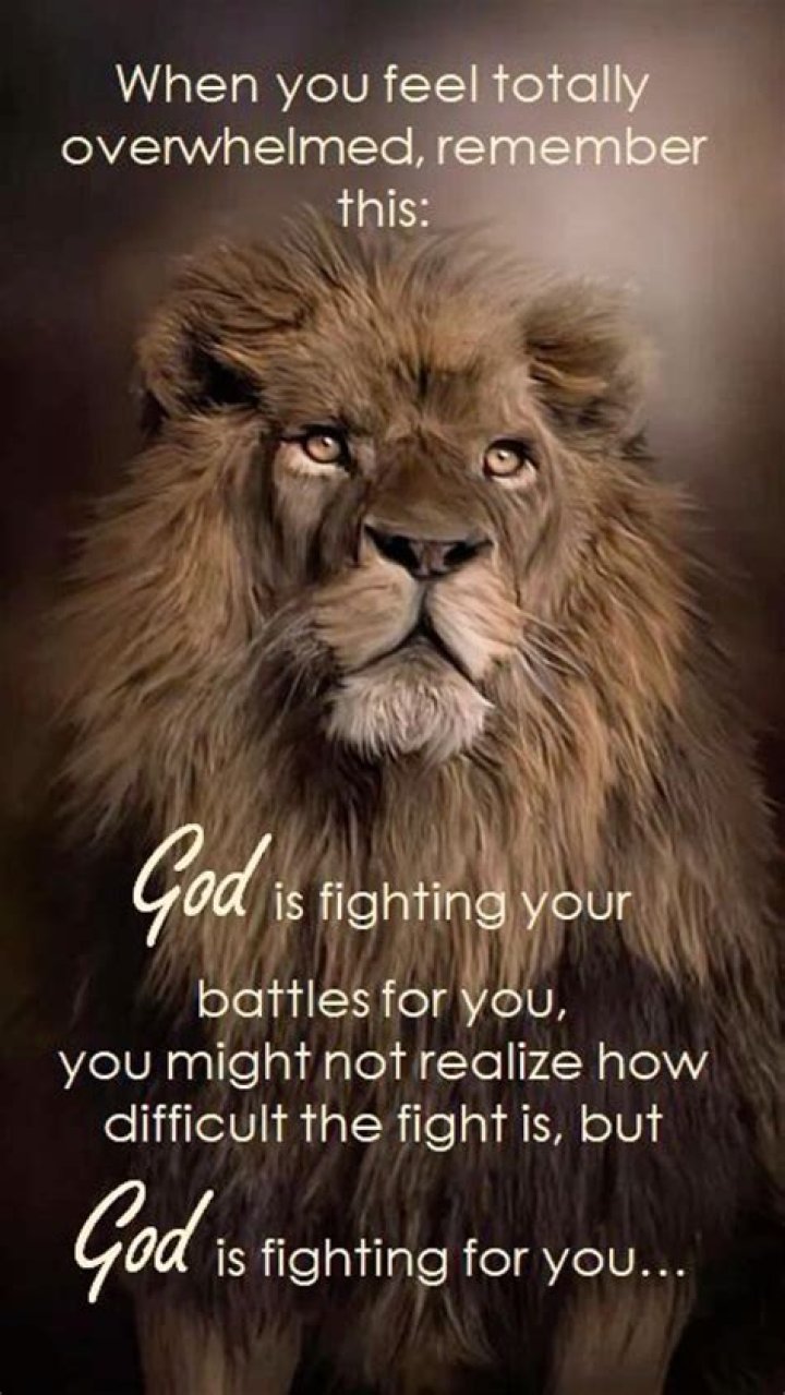 Pin on Inspiritional Stories/Encouragement