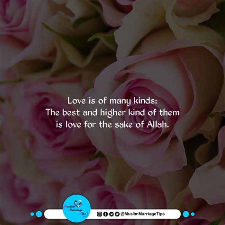 Pin on Islamic Marriage Quotes
