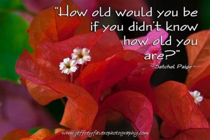 Pin on Quotable Quotes