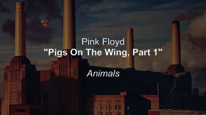 Pink Floyd’sPigs on the Wing (Part One) Lyrics