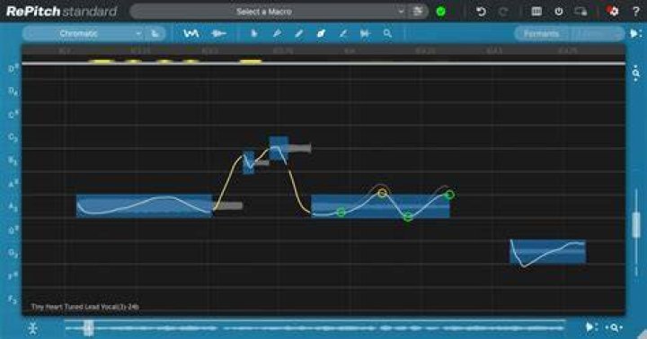 Pitch Module Correction: Formant Scale