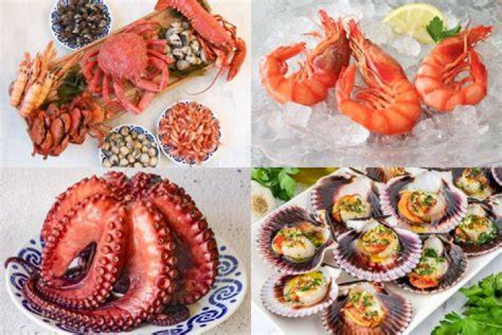 Platillos de Mariscos para la Cuaresma del Chef Antonio de Livier