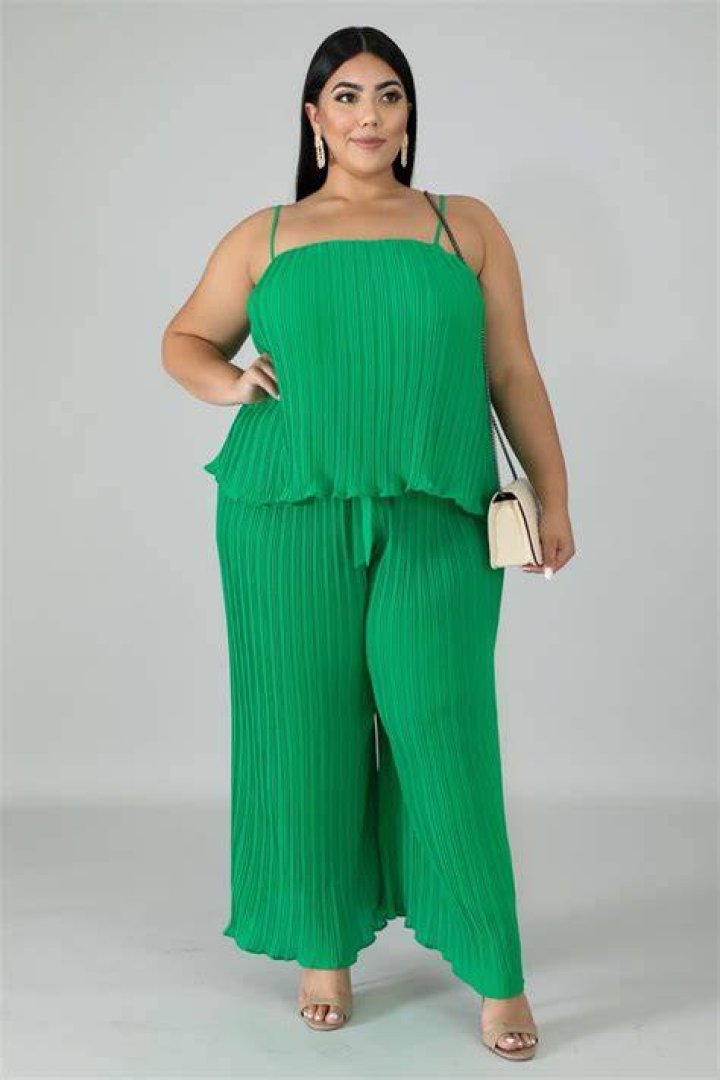 Pleated Chiffon Palazzo Pant Set in 2021 High waisted pants, Chiffon