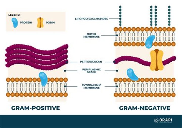 Positive, Gscsix