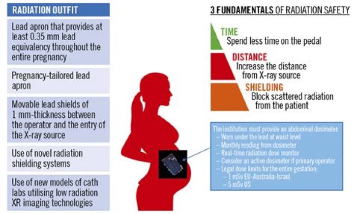 Pregnancy Safety, Gscone