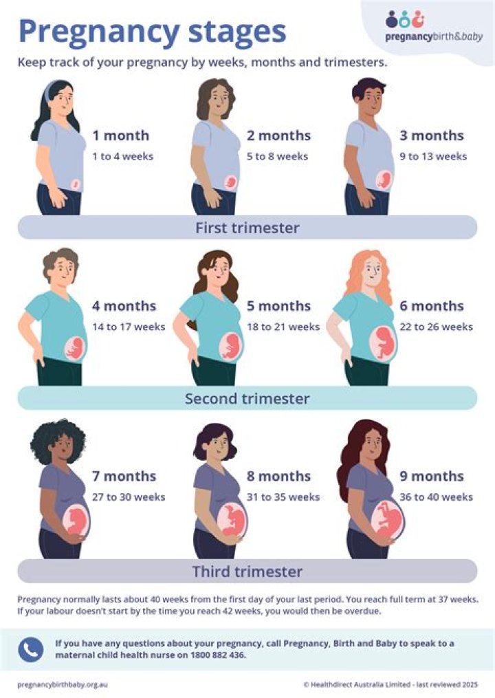 Pregnancy Trimester, Gscone