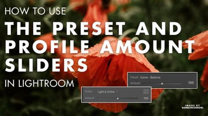 Presets window footer