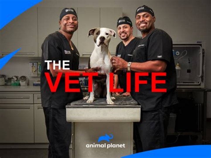 Prime Video The Vet Life Season 4