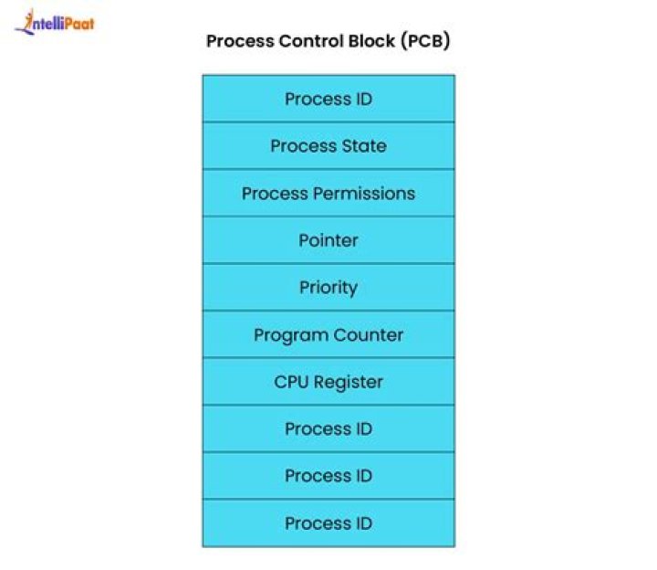 Process, Gscnine