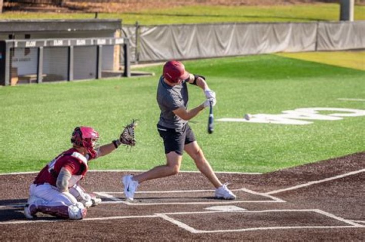 Professional Baseball Careers, Phillblog-gpt