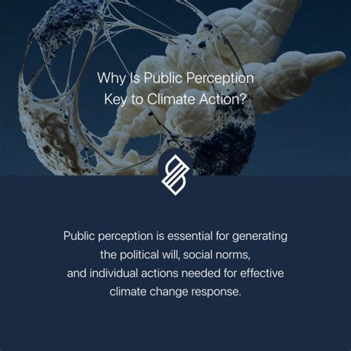 Public Perception, Gscnine