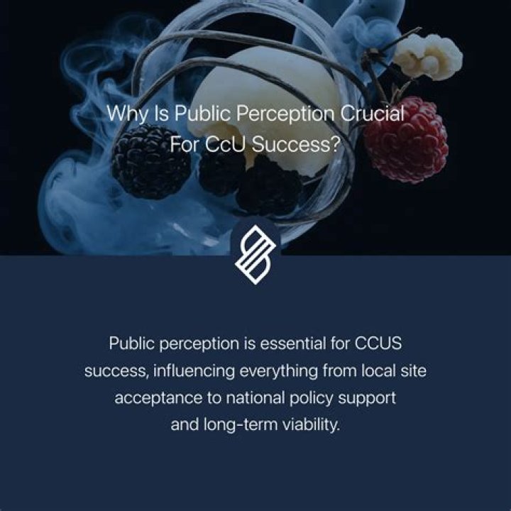 Public Perception, Gscone