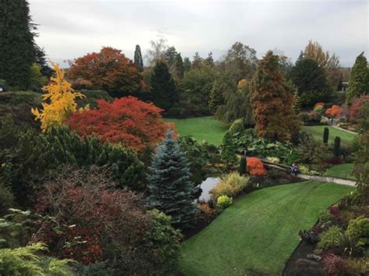 Queen Elizabeth Park, 4600 Cambie St, Vancouver, BC V5Z 2Z1